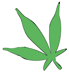 Cannabis ruderalis
