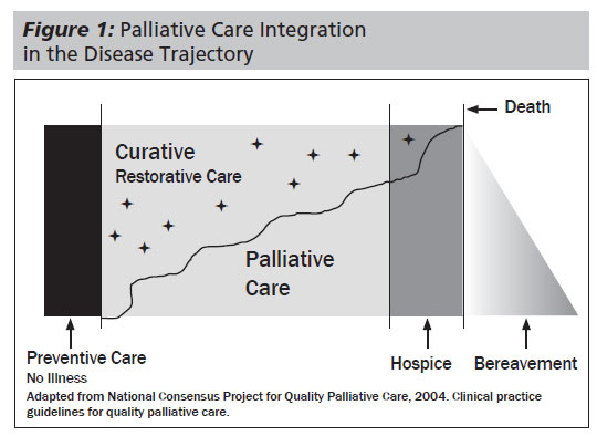 Hospice Vs Palliative Care Chart