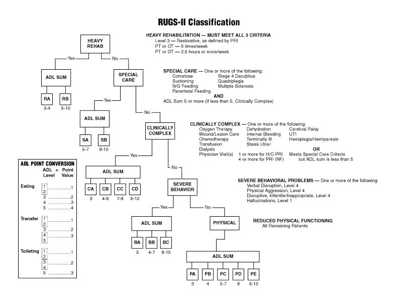 Rug Score Chart