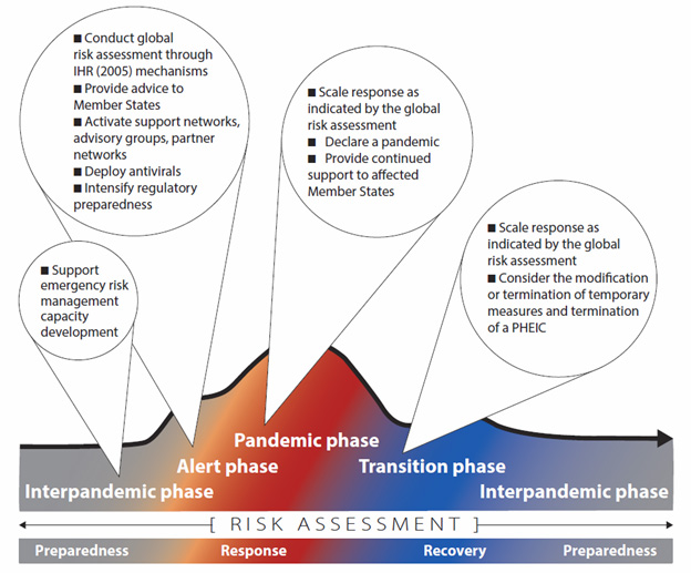 WHO pandemic phases