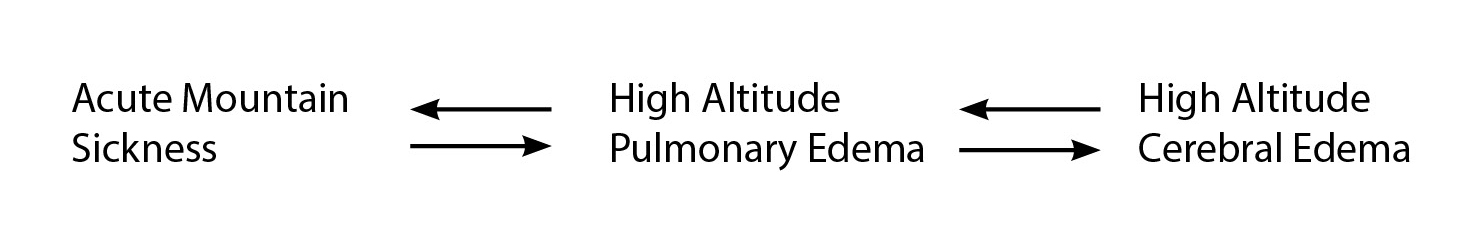 High Altitude Illness Spectrum Representation