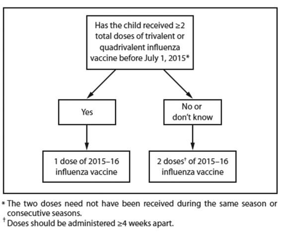 Influenza figure 1