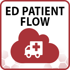 ED Patient Flow